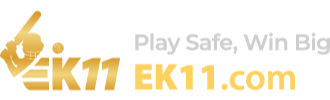EK11 logo